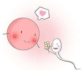 受孕時(shí)間居然這么講究，趕緊了解一下