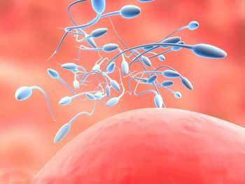 在試管嬰兒治療過(guò)程當(dāng)中怎么預(yù)防胎停育？