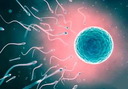 哪些患者更加適合選擇試管嬰兒自然周期治療？