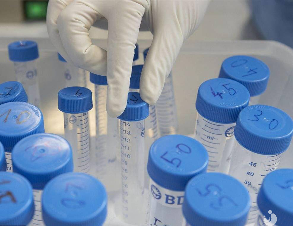 試管嬰兒做一次需要花費多少錢？