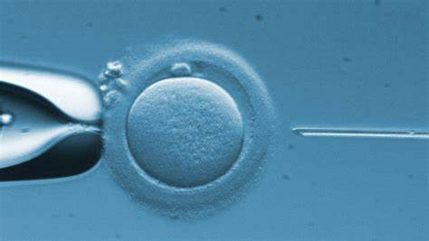 試管嬰兒如何能一次成功？