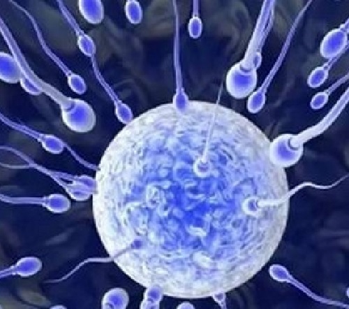 無(wú)精癥只能做供精試管嬰兒了嗎？