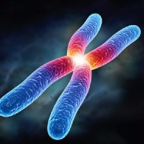 試管嬰兒真的可以懷雙胞胎嗎？