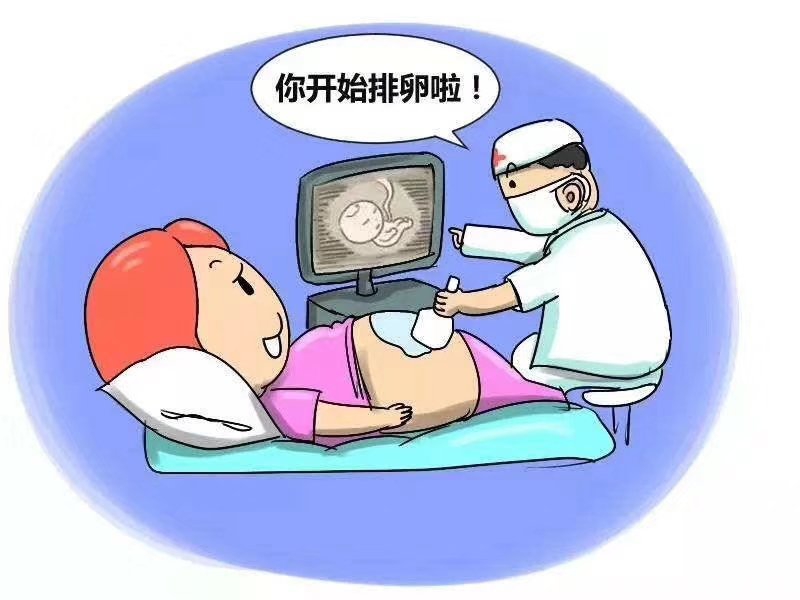 試管嬰兒期間做了B超監(jiān)測，之后對寶寶會不會有影響？