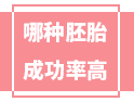 移植哪種胚胎的成功率最高？看完這篇你就知道了！