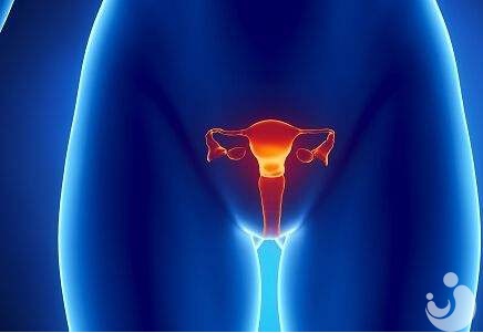 只剩單側(cè)輸卵管的女性有機(jī)會(huì)受孕？