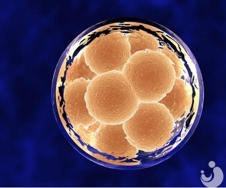 促排卵可以不打針嗎？一般幾次能成功？