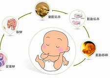 試管嬰兒靠譜嗎？建議看完了之后再做決定！