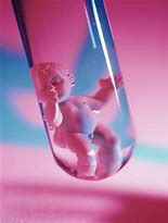 患染色體異常還能懷孕嗎？