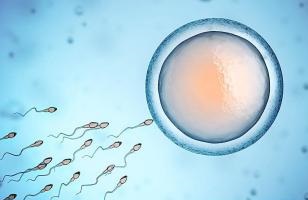 做試管嬰兒前期很麻煩？看完你就明白了！