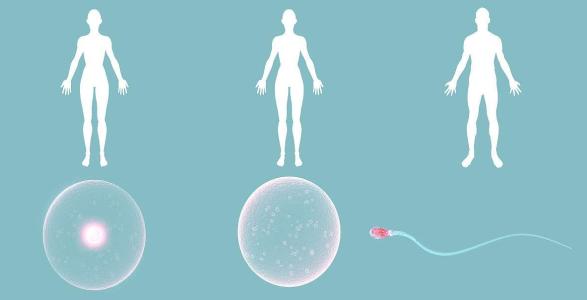 做試管嬰兒很痛苦？看完你就清楚了