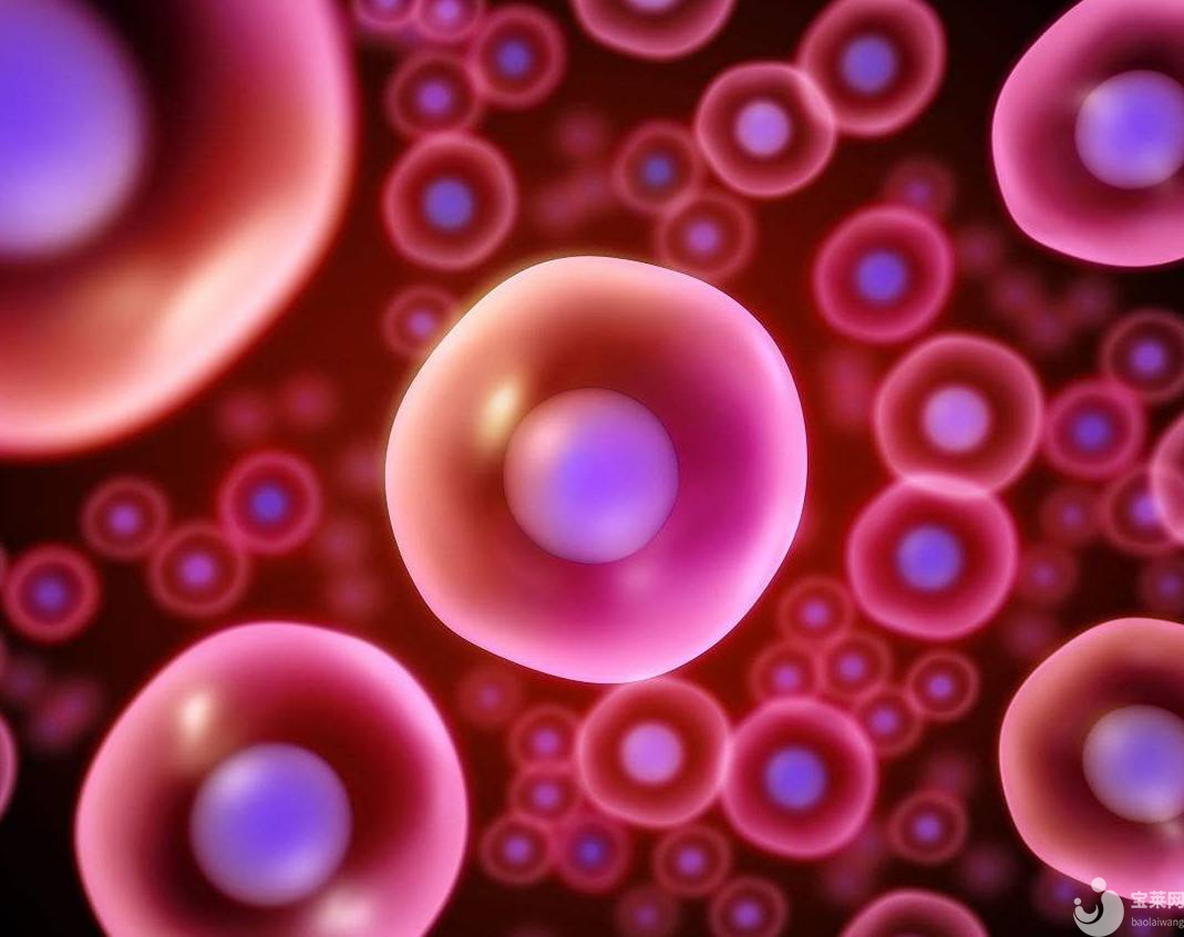 卵泡長不大？三大招教你搞定