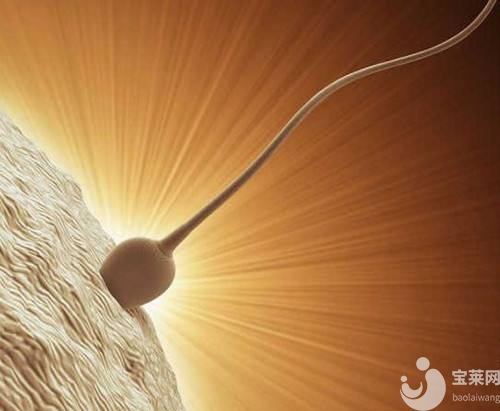 男生弱精？看看這里，讓精子恢復(fù)活力。