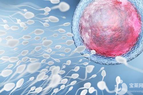 這些婦科B超小貼士，你知道嗎？