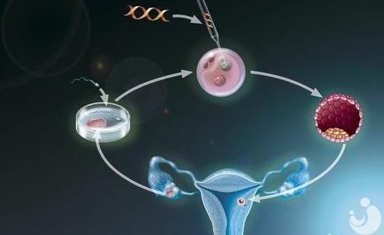 卵巢早衰的年輕女性，試管嬰兒圓生子夢！