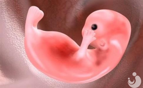 關(guān)于試管嬰兒的謠言，你輕信了嗎？