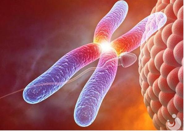 染色體異常？試管嬰兒為你解決煩惱！