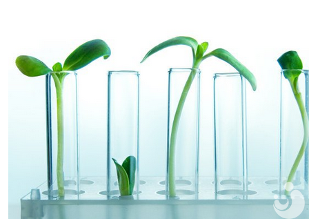 試管嬰兒成功移植后，寬心等待才是智舉！