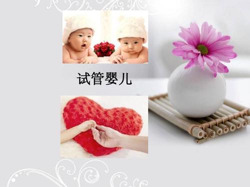 要解決什么問題才能增加試管成功率？