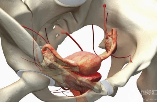 子宮容受性不好，怎么做能改善呢？
