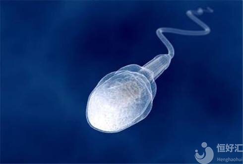 參與試管嬰兒技術(shù)的精子，如何被選擇？