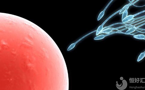 你知道卵子能存活多久嗎？