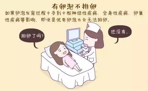 女性不排卵，是什么原因?qū)е碌哪兀? /></a>
	<div   id=