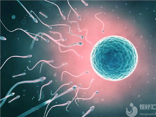 當(dāng)卵子沒有遇到精子，會(huì)發(fā)生什么事情？