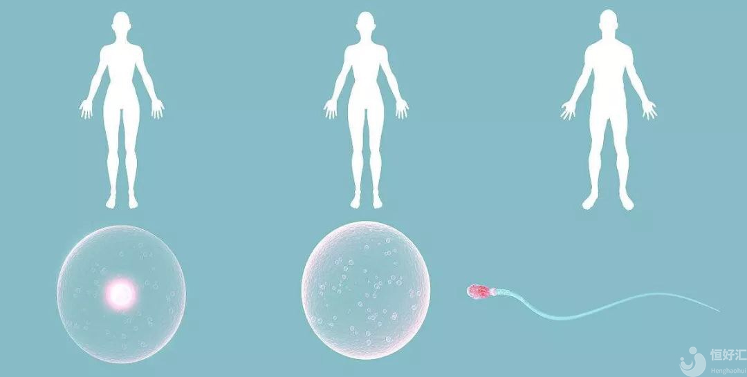 試管嬰兒技術(shù)發(fā)展到第四代了，你知道嗎？