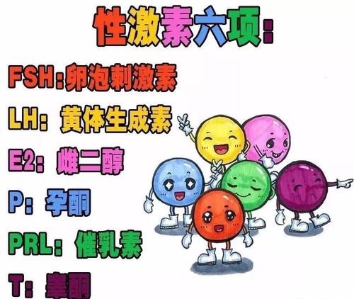 性激素六項中的睪酮，你了解嗎？