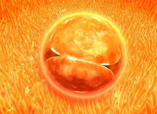 做試管治療，要是在新鮮周期內(nèi)失敗了要怎樣應對？