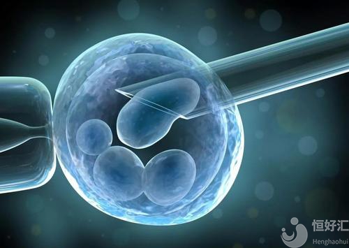 你知道冷凍過的胚胎是怎樣解凍移植的嗎？