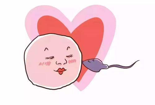 在促排卵期間，能否進行泡腳？