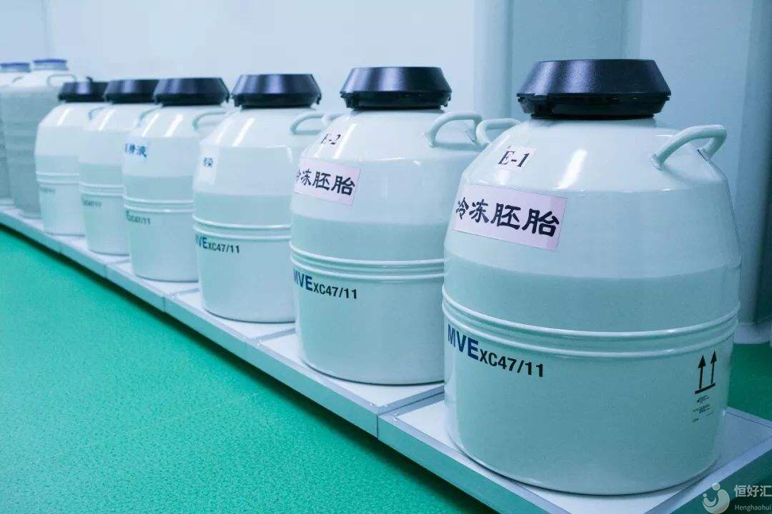 鮮胚移植和凍胚移植，誰更勝一籌？