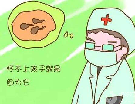 男性無精癥，你了解多少？