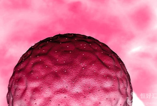 試管治療中，怎樣的胚胎才算是優(yōu)質(zhì)的？