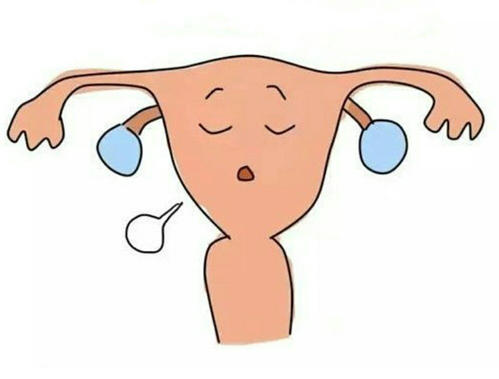 內(nèi)膜的厚度對試管治療重不重要？