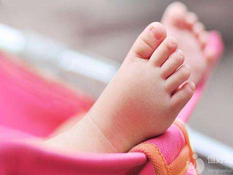 試管嬰兒時，如何把握取卵的最佳時機？