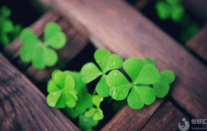 微刺激方案對(duì)卵巢更溫柔，你知道嗎？