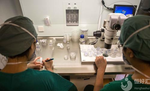 試管嬰兒卵裂期胚胎跟囊胚，兩者的區(qū)別在于哪？