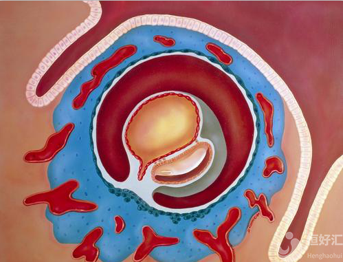 怎樣做可以減少胚胎碎片率？