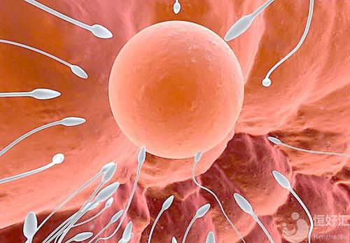 卵泡不排卵，到底是什么原因？