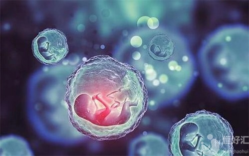 試管媽媽成功育娃的經(jīng)驗(yàn)分享，怎么錯(cuò)過(guò)？