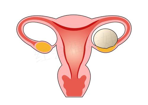 卵巢早衰是否真的沒有生育的希望了？