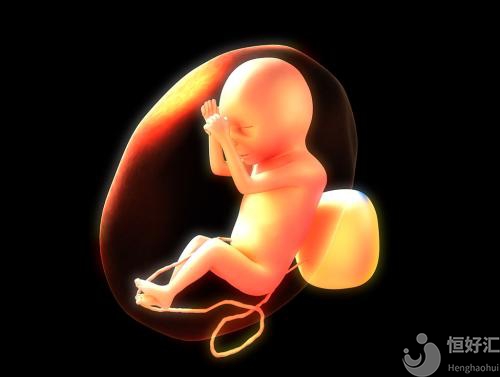 優(yōu)質(zhì)胚胎是什么樣？