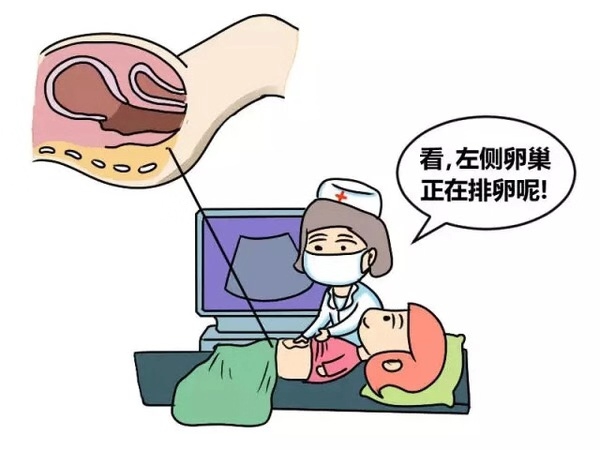 先天性輸卵管畸形，做試管嬰兒還有希望嗎？