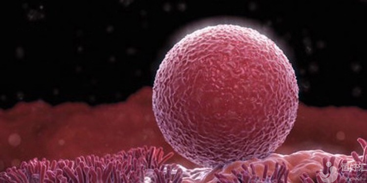 高齡女性的卵子質(zhì)量不好，如何懷孕？