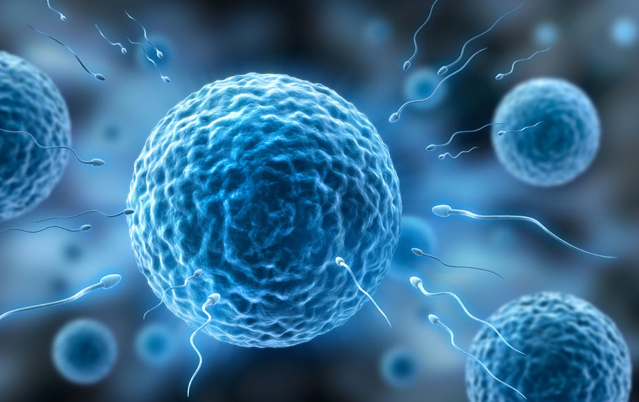 試管嬰兒的排位賽一直失敗，該怎么辦？