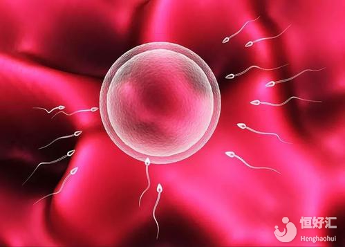 試管嬰兒取卵前女性要做什么？