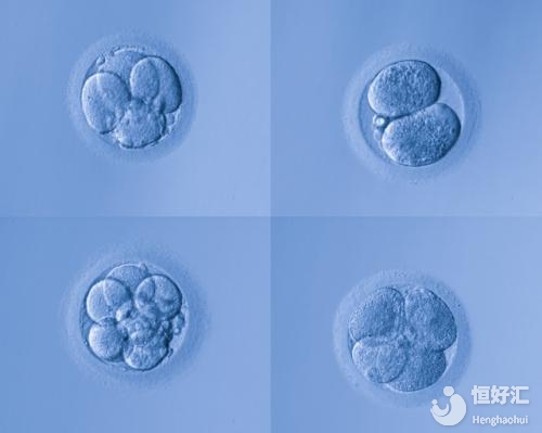 第三天的胚胎跟第五天的囊胚，移植哪個(gè)更好？